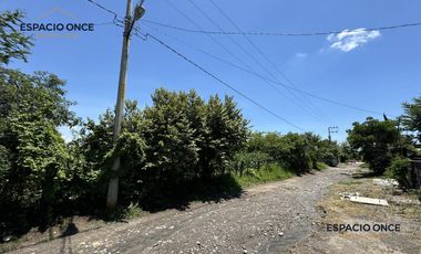 Terreno en Solidaridad