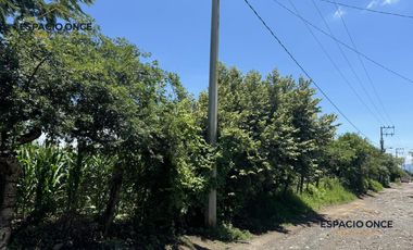 Terreno en Solidaridad