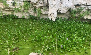 Rancho residencial con rejoyada