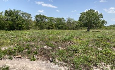 Rancho residencial con rejoyada