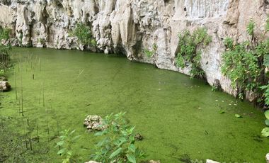 Rancho residencial con rejoyada