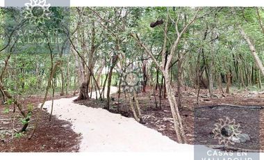 Rancho residencial con rejoyada