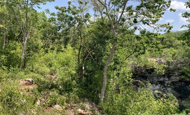 Rancho residencial con rejoyada