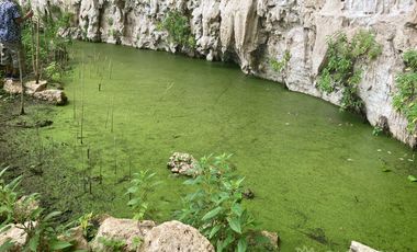 Rancho residencial con rejoyada