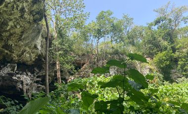 Rancho residencial con rejoyada