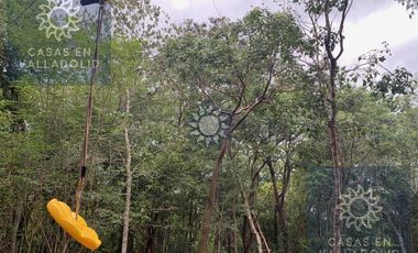 Rancho residencial con rejoyada