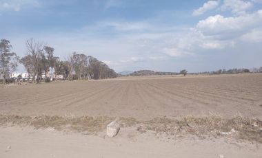 GRAN TERRENO EN ZUMPANGO, ESTADO DE MÉXICO. SUP. 28.85 HECTÁREAS