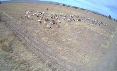 Venta de Terreno en Matancillas, Jalisco.