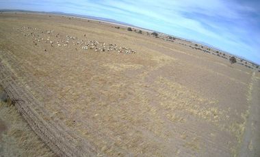 Venta de Terreno en Matancillas, Jalisco.