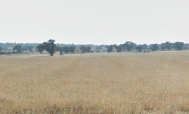 TERRENO  LOMAS DE SAN MIGUEL TOLCAYUCA HIDALGO SUP. 9 HECTÁREAS