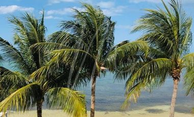 Casa en Venta y Renta en Cancun en Villa de Pescadores, Frente al Mar