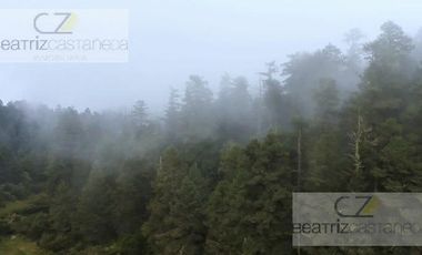 Terreno - Pueblo La Estanzuela