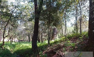 LOTES EN VENTE, RESIDENCIAL EL CARMEN, HUASCA, HGO.