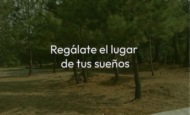 LOTES EN VENTE, RESIDENCIAL EL CARMEN, HUASCA, HGO.