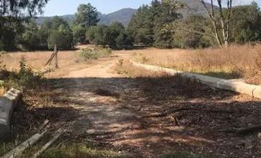 LOTES EN VENTE, RESIDENCIAL EL CARMEN, HUASCA, HGO.