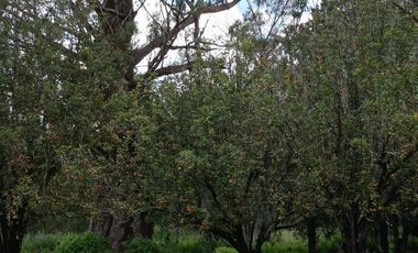 LOTES EN VENTE, RESIDENCIAL EL CARMEN, HUASCA, HGO.