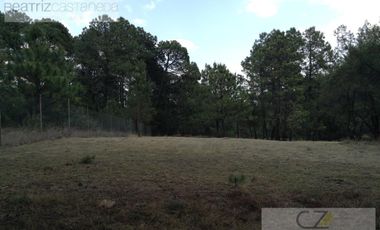 LOTES EN VENTE, RESIDENCIAL EL CARMEN, HUASCA, HGO.