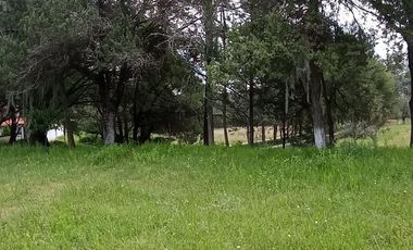 LOTES EN VENTE, RESIDENCIAL EL CARMEN, HUASCA, HGO.