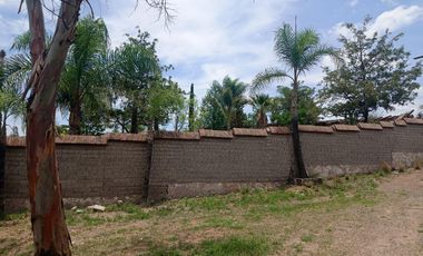 Rancho en Ejido El Taray, Villa Hidalgo, Jal.