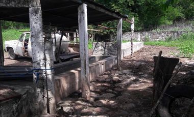 PASO DE OVEJAS, Rancho en VENTA de 80 Hectáreas!