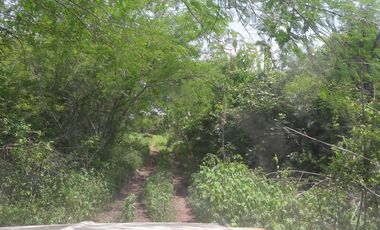 PASO DE OVEJAS, Rancho en VENTA de 80 Hectáreas!