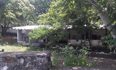 PASO DE OVEJAS, Rancho en VENTA de 80 Hectáreas!