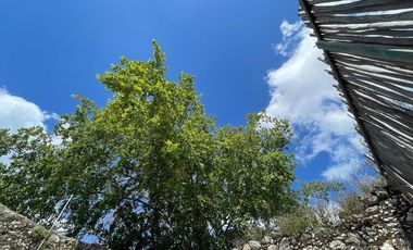 Casona en venta en el centro de Valladolid