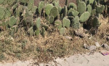 TERRENO, LA CAÑADA HUEHUETOCA SUP. 2,543.80 MTS