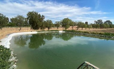 GRANJA EN VENTA RINCON DE ROMOS