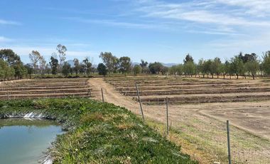 GRANJA EN VENTA RINCON DE ROMOS