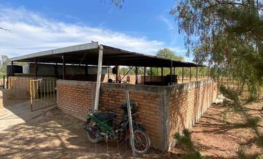 GRANJA EN VENTA RINCON DE ROMOS