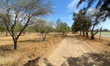 GRANJA EN VENTA RINCON DE ROMOS
