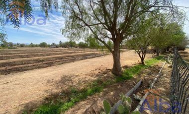 GRANJA EN VENTA RINCON DE ROMOS