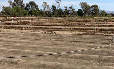 GRANJA EN VENTA RINCON DE ROMOS