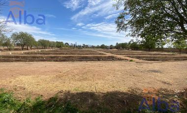 GRANJA EN VENTA RINCON DE ROMOS