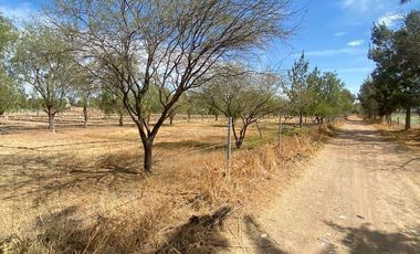 GRANJA EN VENTA RINCON DE ROMOS