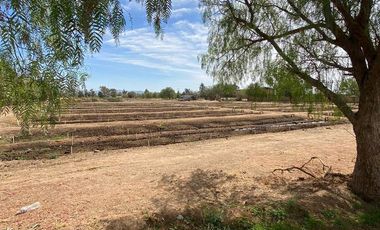 GRANJA EN VENTA RINCON DE ROMOS