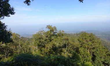 Terreno en venta en la zona de Teziutlán Hueytamalco