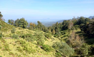 Terreno en venta en la zona de Teziutlán Hueytamalco