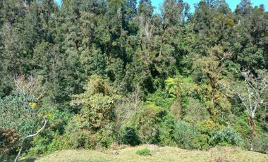 Terreno en venta en la zona de Teziutlán Hueytamalco