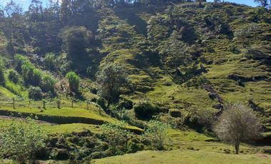Terreno en venta en la zona de Teziutlán Hueytamalco