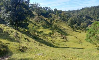 Terreno en venta en la zona de Teziutlán Hueytamalco