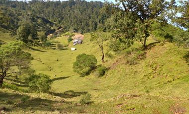 Terreno en venta en la zona de Teziutlán Hueytamalco