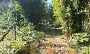 Terreno en venta en la zona de Teziutlán Hueytamalco
