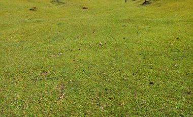 Terreno en venta en la zona de Teziutlán Hueytamalco