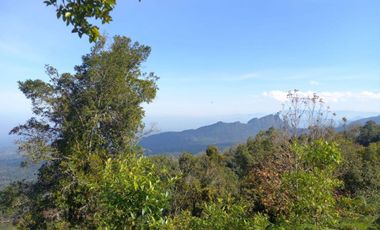 Terreno en venta en la zona de Teziutlán Hueytamalco