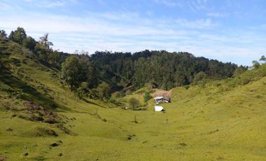 Terreno en venta en la zona de Teziutlán Hueytamalco