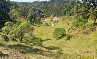 Terreno en venta en la zona de Teziutlán Hueytamalco