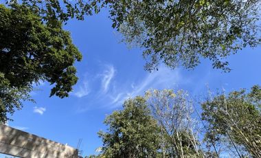 EN CONSTRUCCIÓN Casa en venta en Valladolid