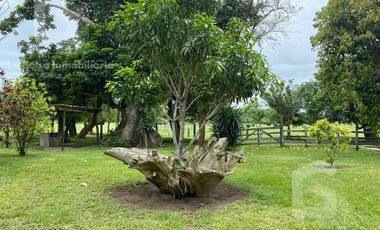 Terreno en Venta en Finca Real en Costa Esmeralda Veracruz